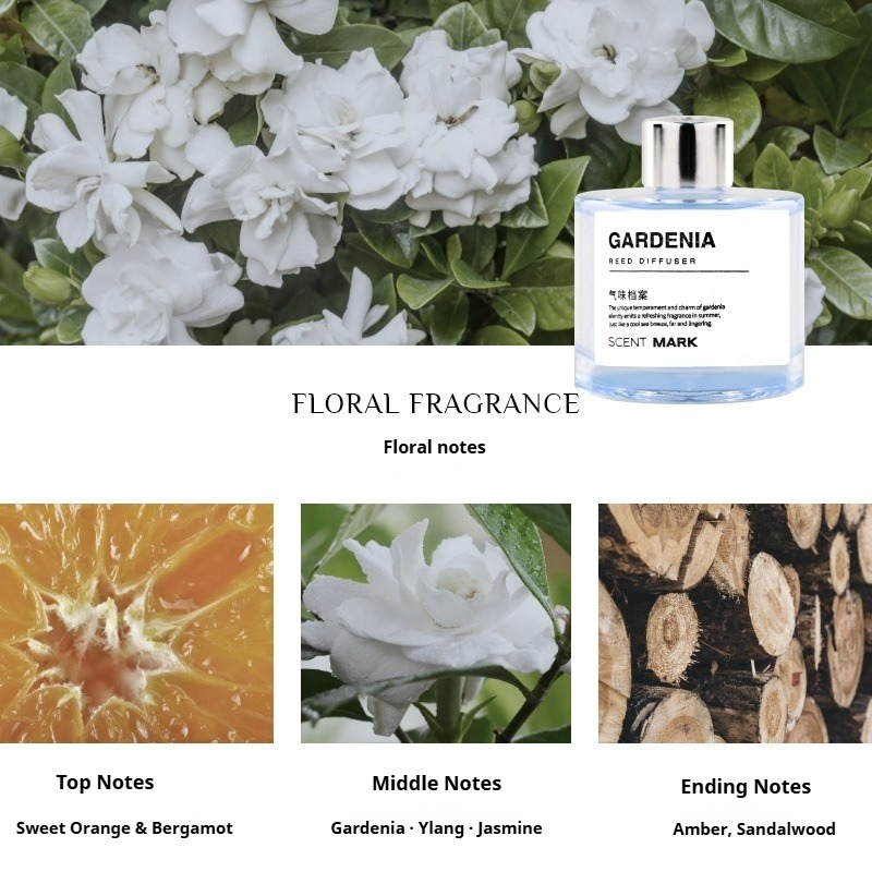 Ensembles de diffuseurs de ros - Home Fragrance Jasmine Diffuser avis et prix